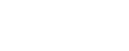 Tineri logo white